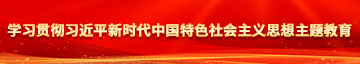 男生把j插入女孩下体网站学习贯彻习近平新时代中国特色社会主义思想主题教育